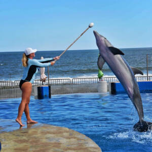 St Augustine Sailing - Sail Science - Dolphin Training - Marine Life - Marineland