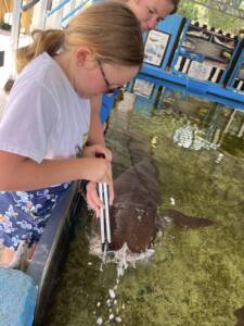 St Augustine Sailing - St Augustine Aquarium - Sail Science -