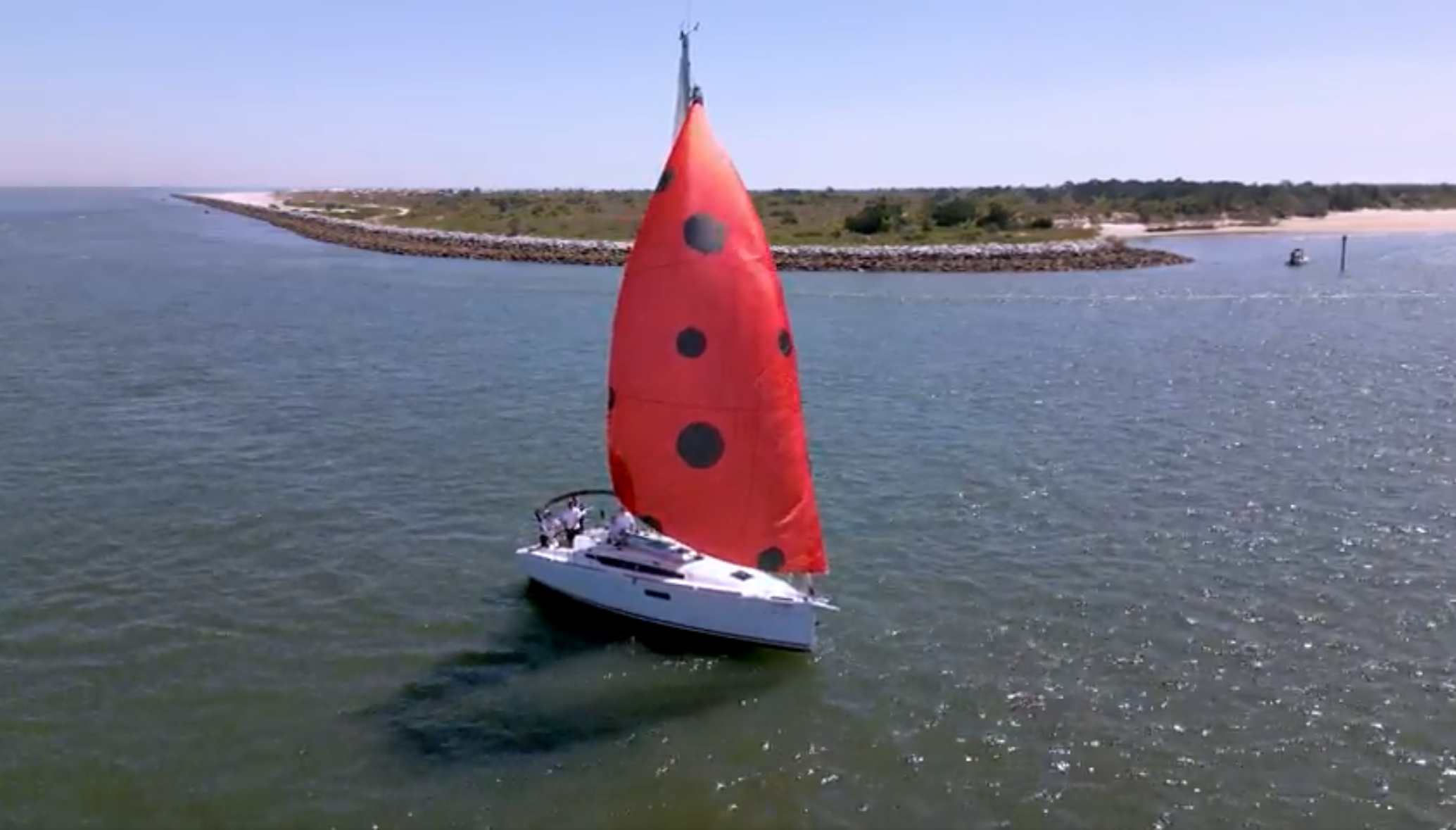 Ladybug Event - Eco-friendly Sailing