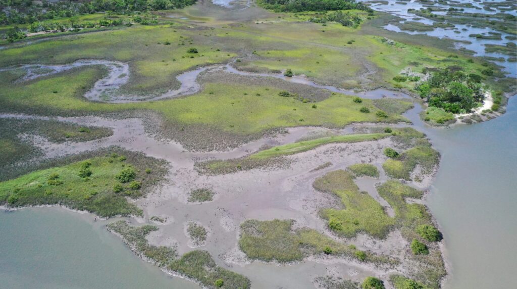 A birds eye view of Fort Mose in St. Augustine FL.